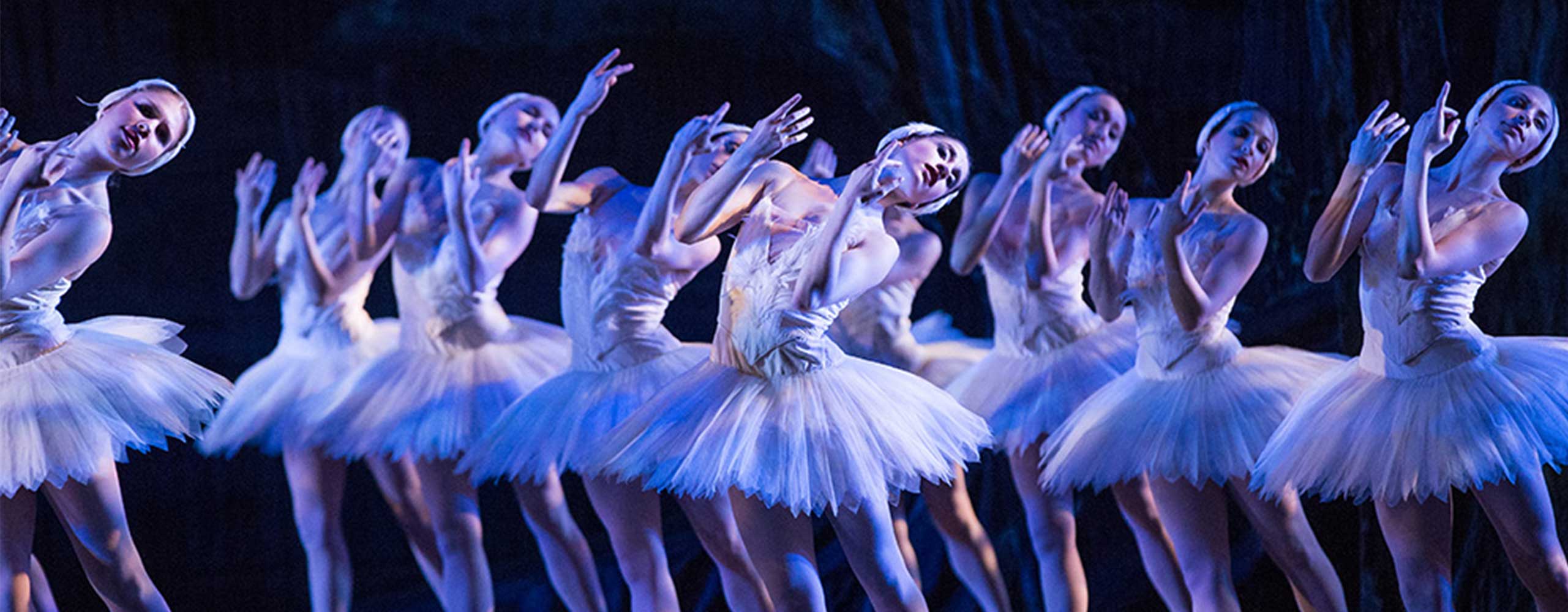 Swan Lake About the Ballet