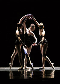 Dancers: Aisling Hill-Connor, Stephanie Greenwald, Lisa Choules Photography: Steve Wilson